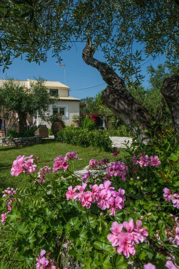 Corfu Villa Linea Linia Exterior photo